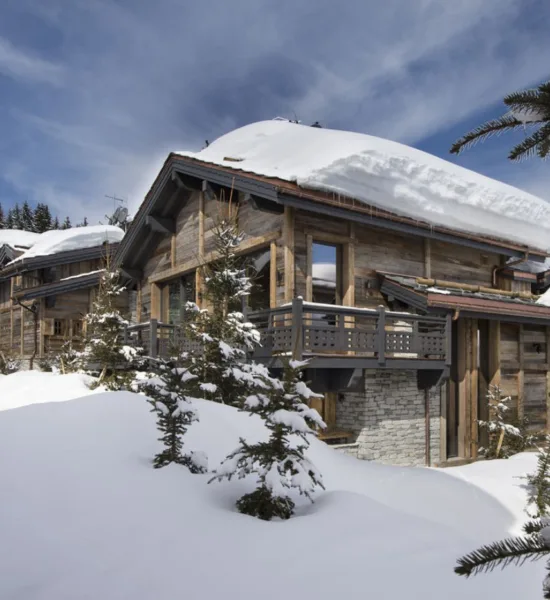 Chalet Le Palace Précieux